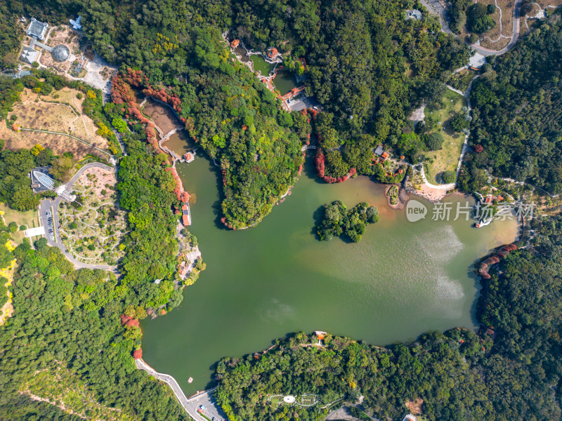 深圳仙湖植物园