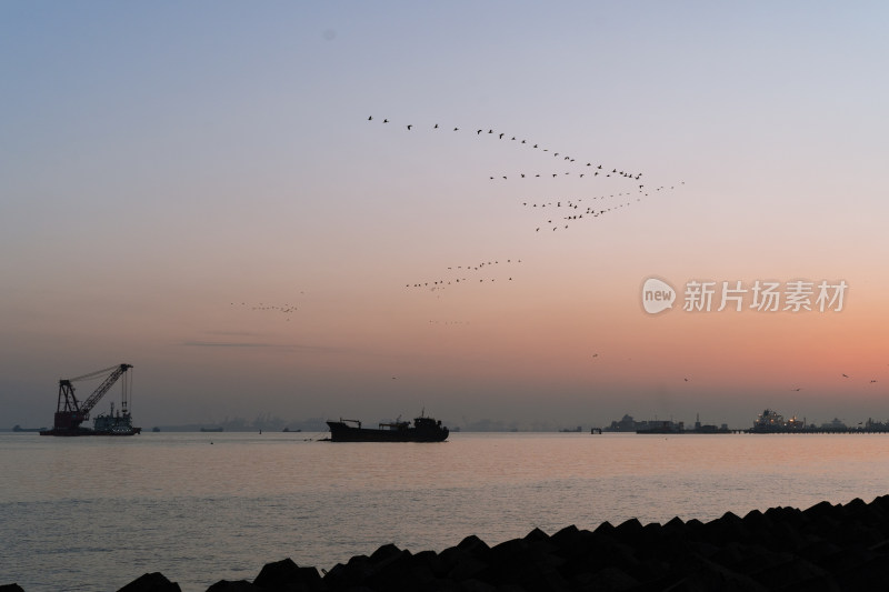 清晨海边日出，船只，码头，飞翔的鸟儿