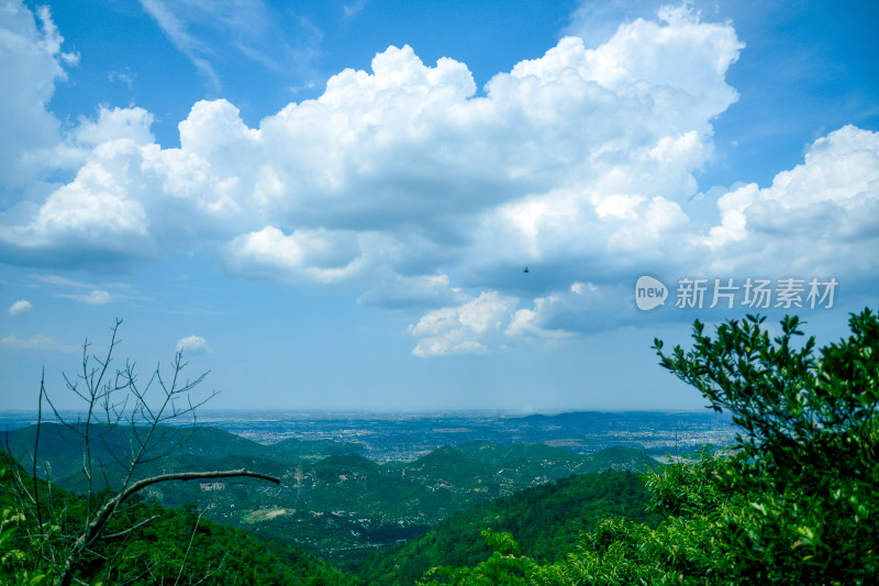 山中的风景