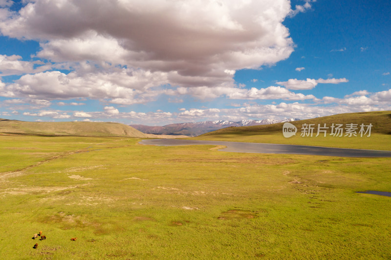 中国新疆伊犁巴音布鲁克草原风景