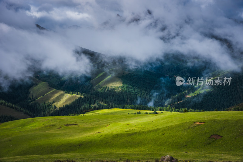 云雾缭绕的高山草原