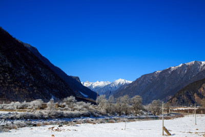 中国西藏地区冬季雾凇及雪绒花