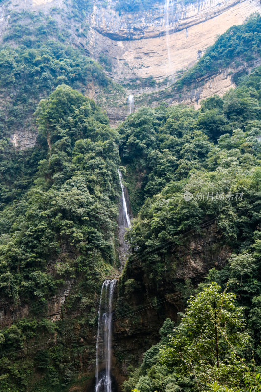 湖北宜昌三峡竹海风景区，自然风光，竹海