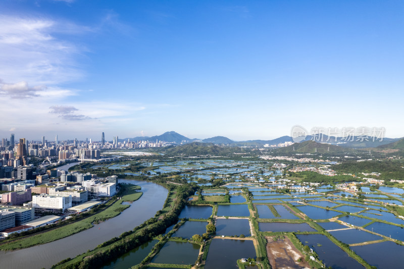 香港米埔自然护理区