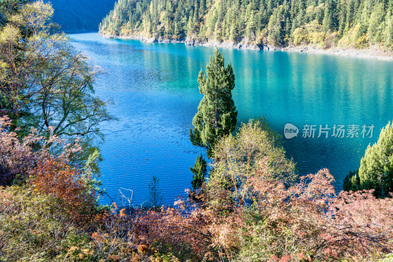 四川阿坝九寨沟秋天的树木和湖泊