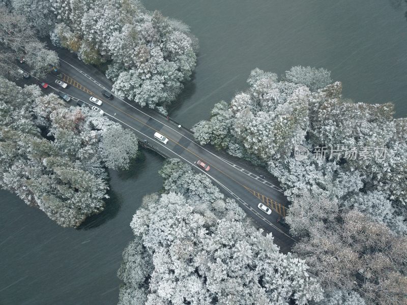 江南的第一场雪，摄于西湖杨公堤