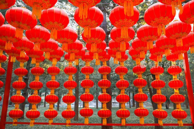 中国年味春节庙会灯笼红红火火