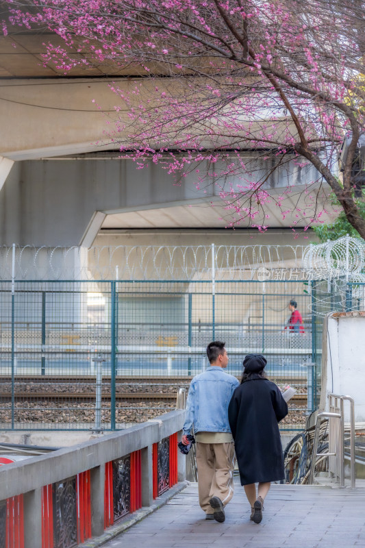 情侣于铁轨旁繁花下漫步