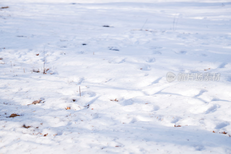 白雪覆盖着的草地