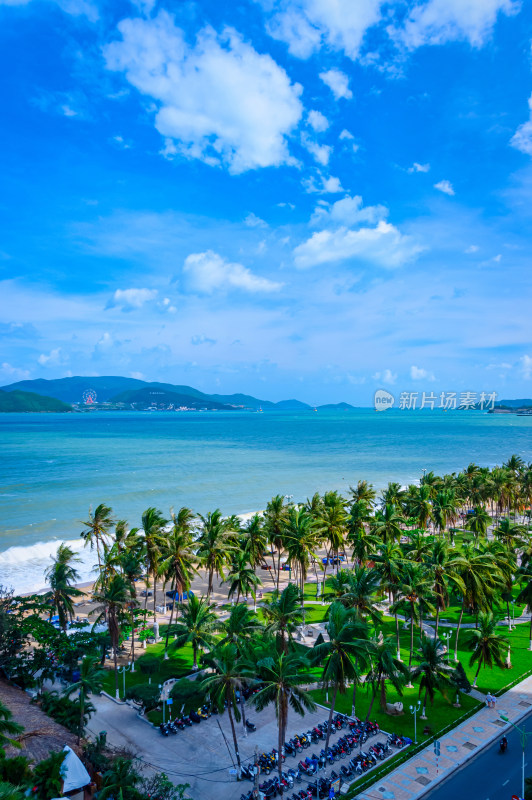 越南芽庄滨海沙滩棕榈树林与海景风光