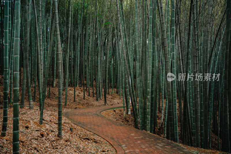 岳阳金鹗山孔子公园