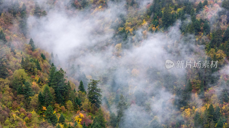 阿坝州黄龙风景名胜区秋色