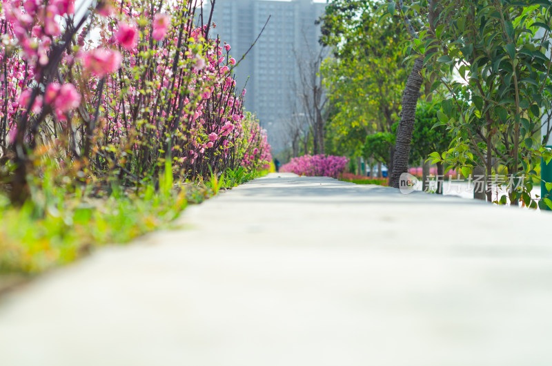 道路两边是花丛和绿树