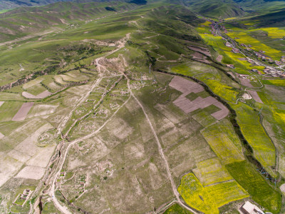 藏地乡村民居油菜花航拍全景图