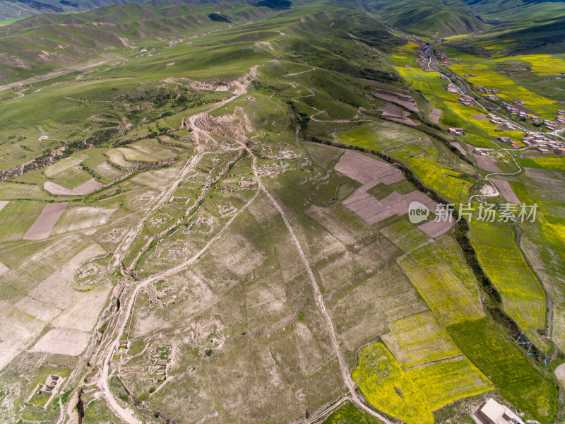 藏地乡村民居油菜花航拍全景图