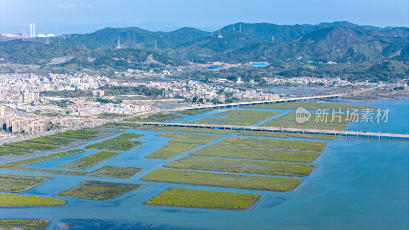 惠州市盐洲海洋湿地公园-红树林航拍