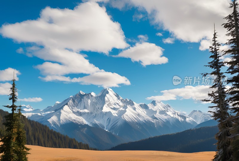 雪山高原森林风景