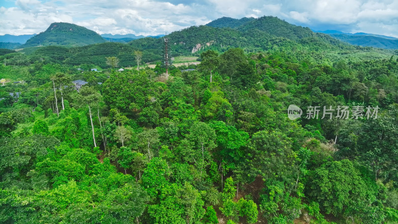 中科院西双版纳热带植物园