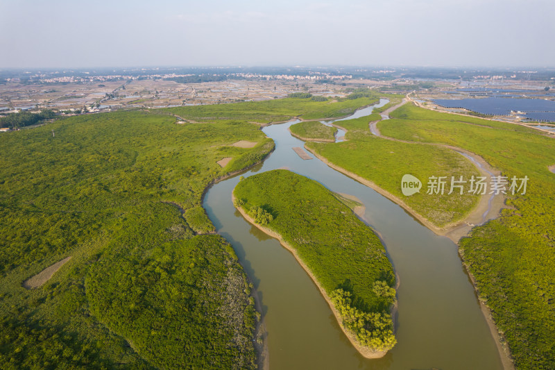 湛江高桥红树林保护区