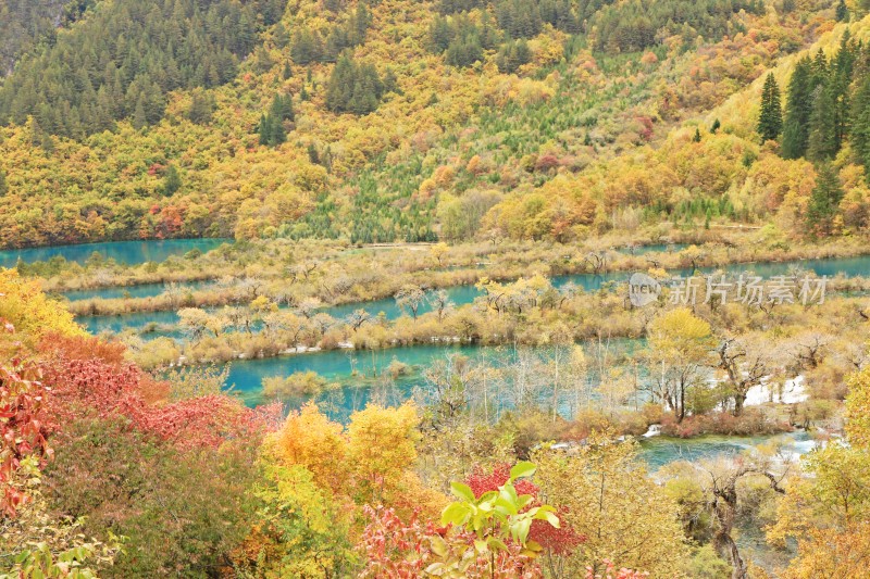 秋天九寨沟的山水