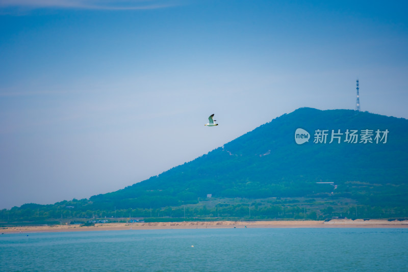 碧绿的大海蔚蓝天空背景图