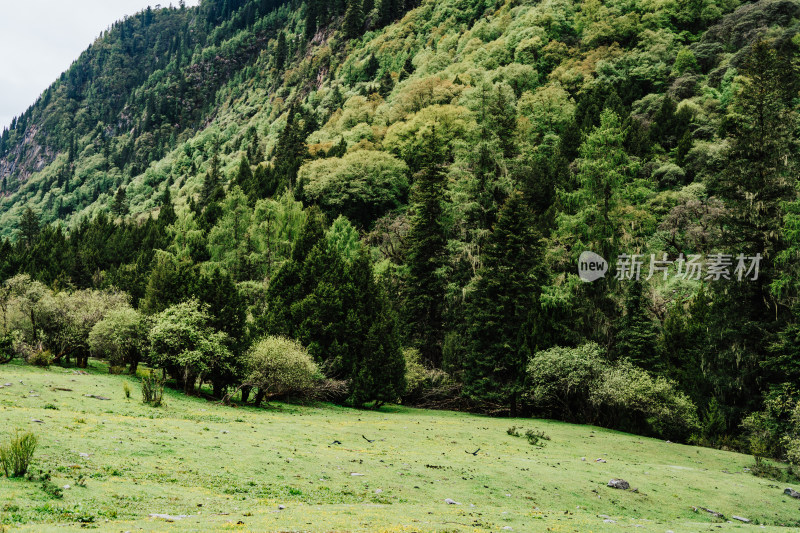 阿坝州四姑娘山长坪沟