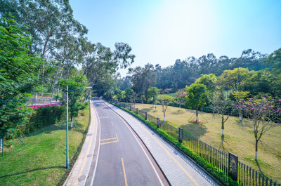 广州麓湖公园麓景路城市公路林荫大道