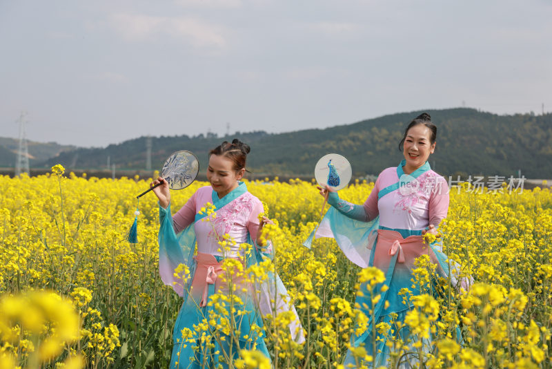 油菜花开春意浓 美丽乡村入画来