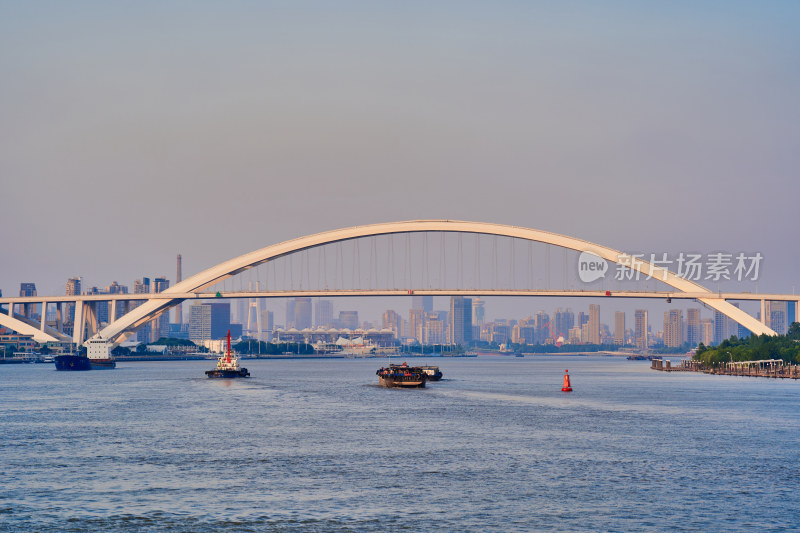 上海的卢浦大桥