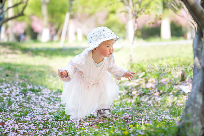 春天开满鲜花 花瓣满地 户外赏花幼儿宝宝