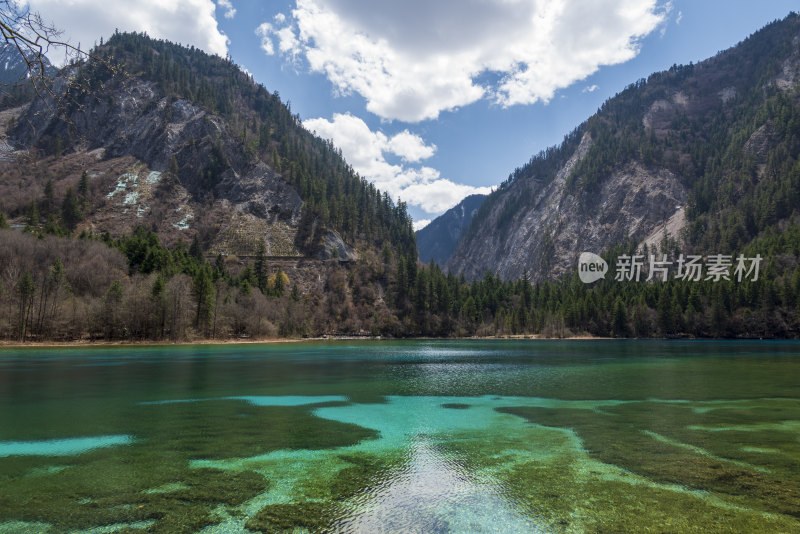 九寨沟五花海色彩斑斓的水