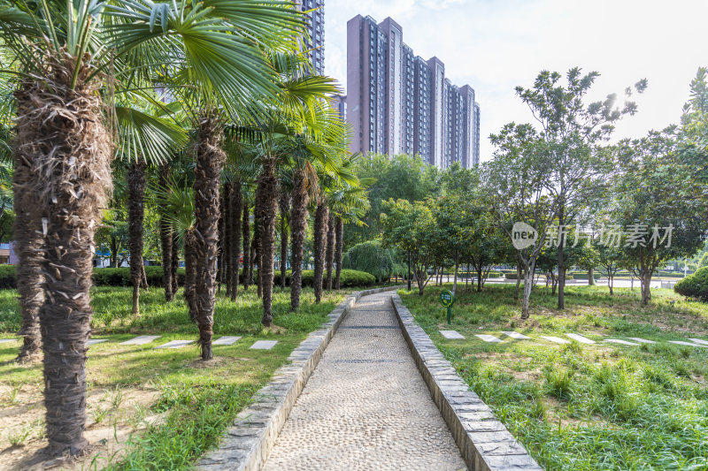 武汉江夏新世纪公园风景