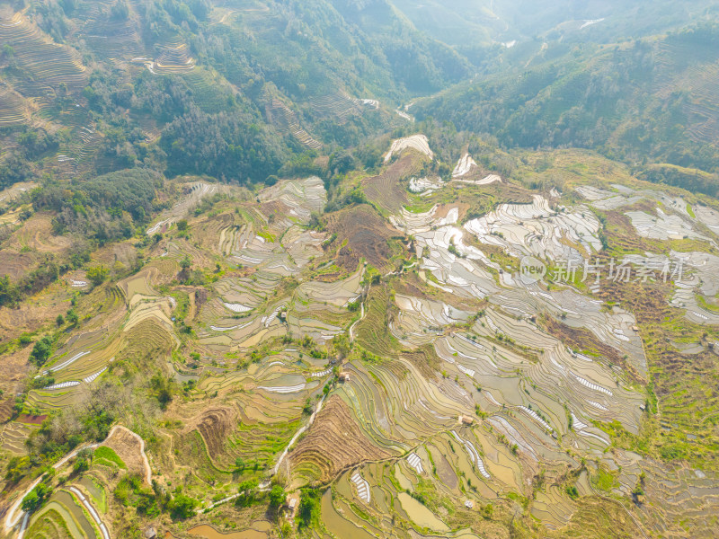 航拍红河州元阳梯田自然风光