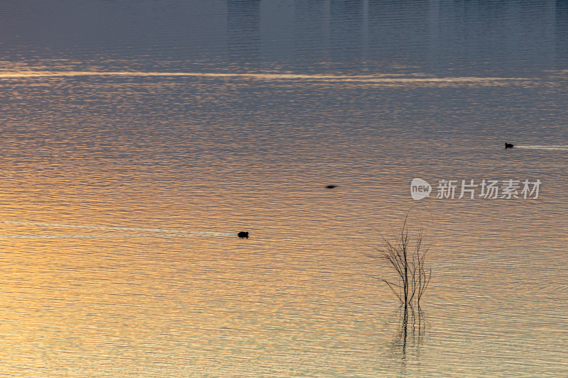 山东济宁邹城孟子湖湖面日落景观