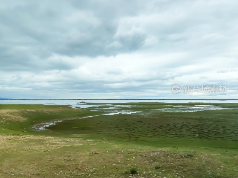 六月的青海湖风景