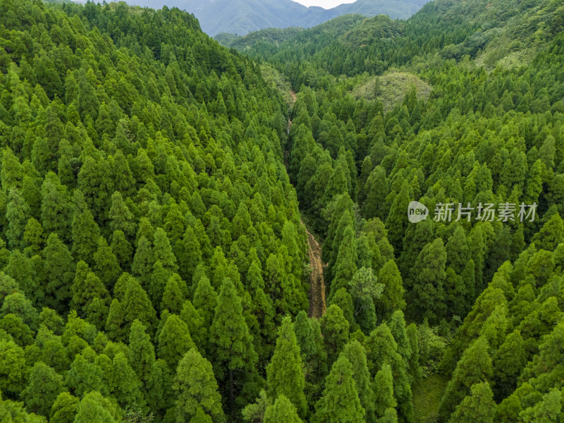 森林大山航拍