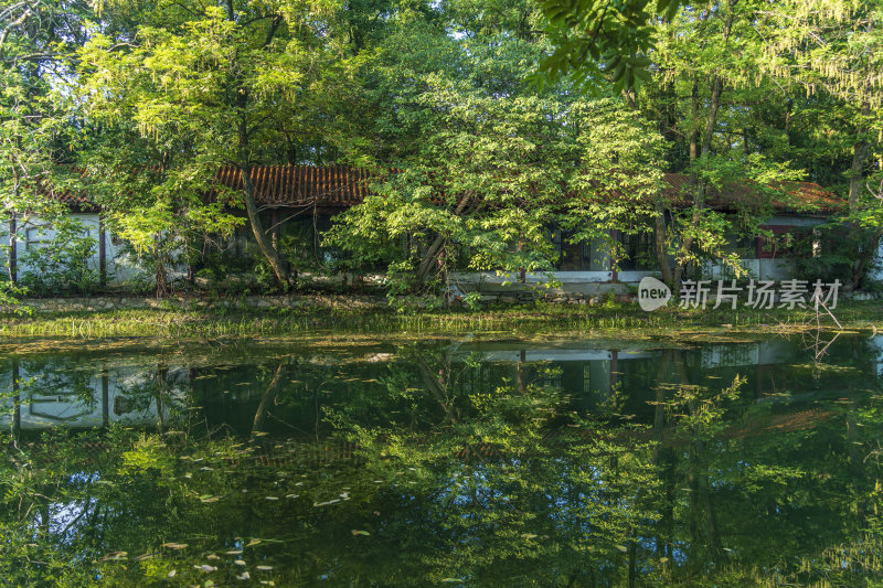 武汉江岸区解放公园风景