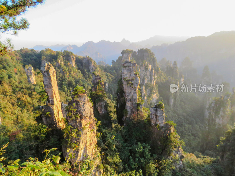 中国湖南张家界国家森林公园旅游风光