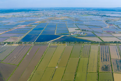 美丽乡村农业水稻种植水产品养殖