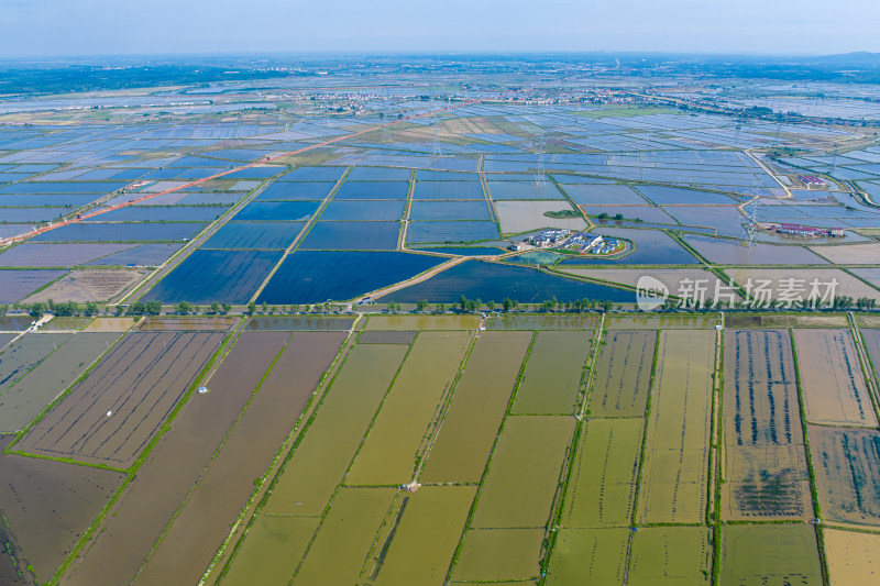 美丽乡村农业水稻种植水产品养殖