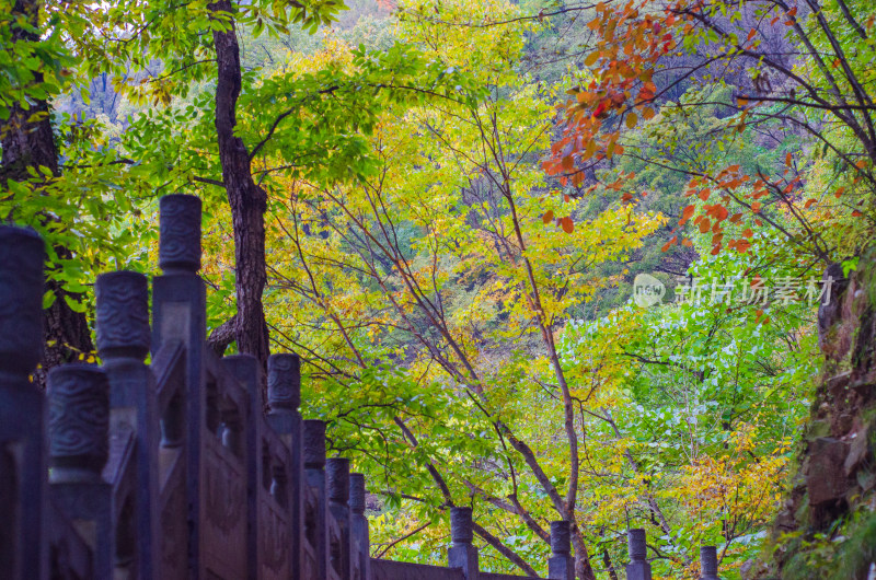 河南省洛阳白云山九龙潭秋天风景