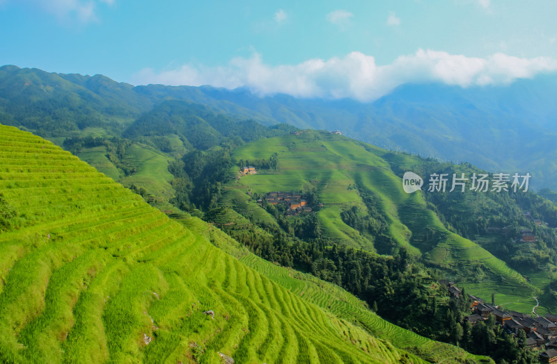 桂林龙脊梯田风光