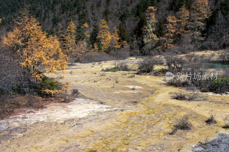 四川阿坝黄龙景区钙华地形秋色山林秘境