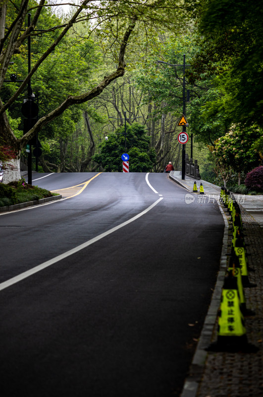 杭州西湖杨公堤道路春色景观