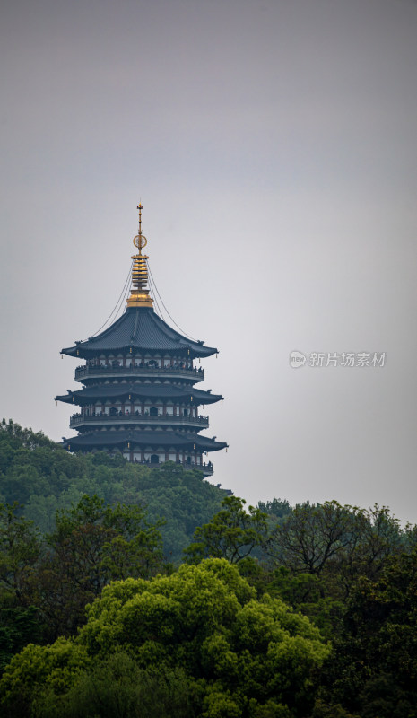 雾色西湖雷峰塔特写