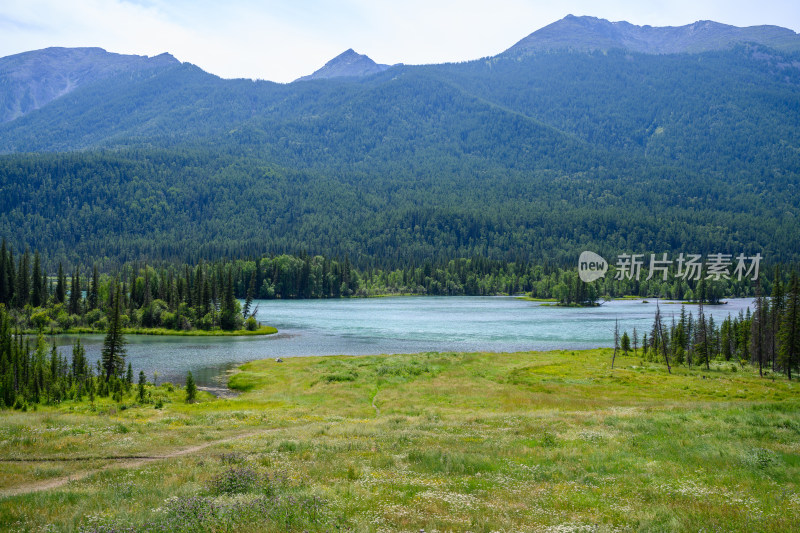 夏季新疆阿勒泰喀纳斯河神仙湾自然风光