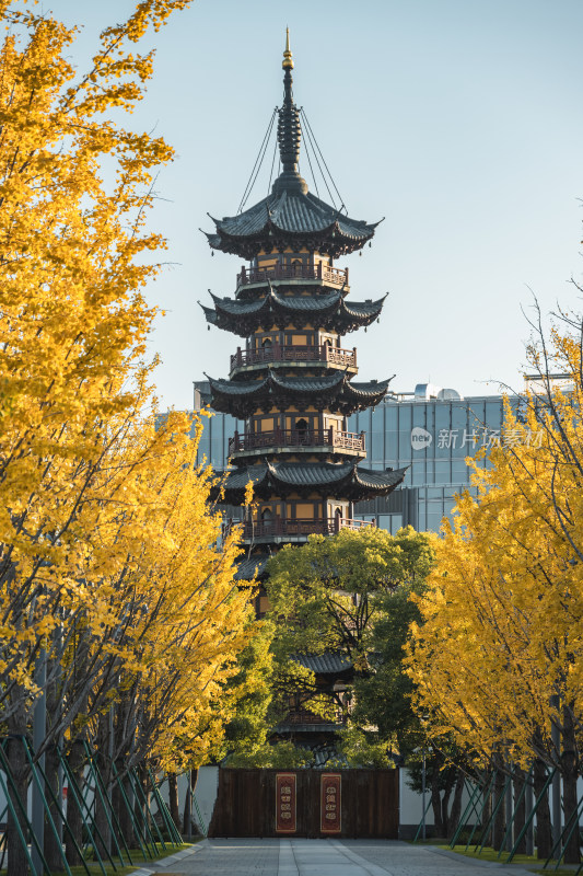 龙华寺航拍 上海 徐汇 秋天 寺庙