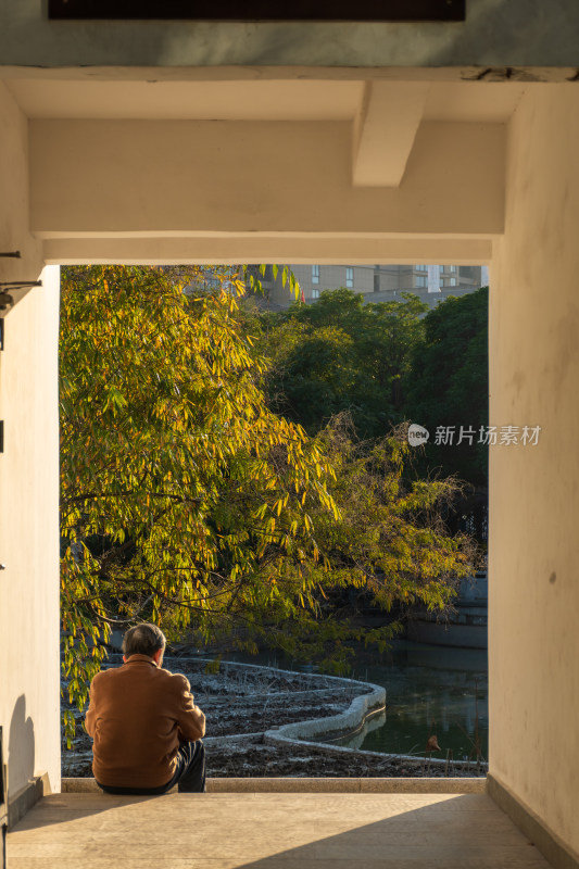 老人独坐廊道赏户外秋景