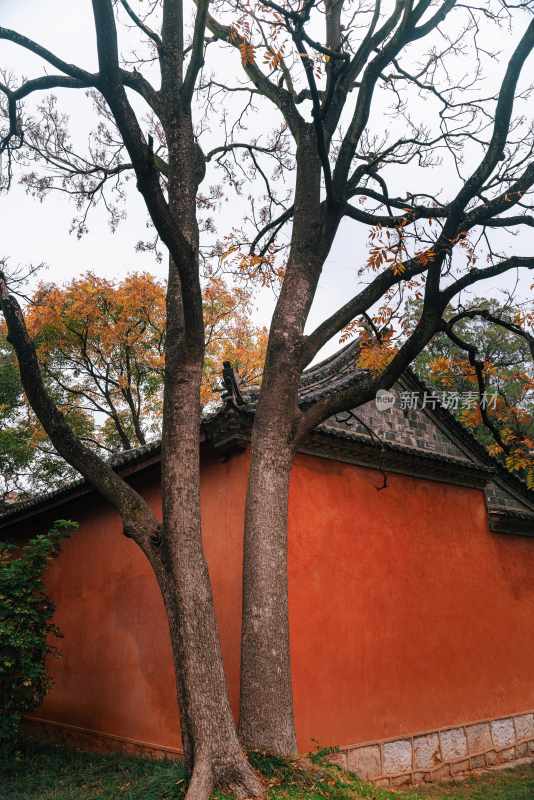 云南旅游大理洱海蒙自弥勒建水元阳梯田景区