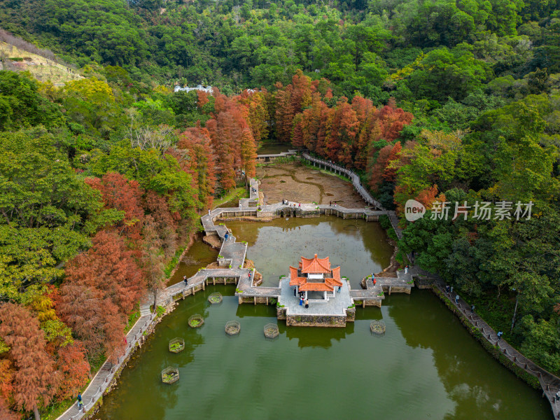 深圳仙湖植物园